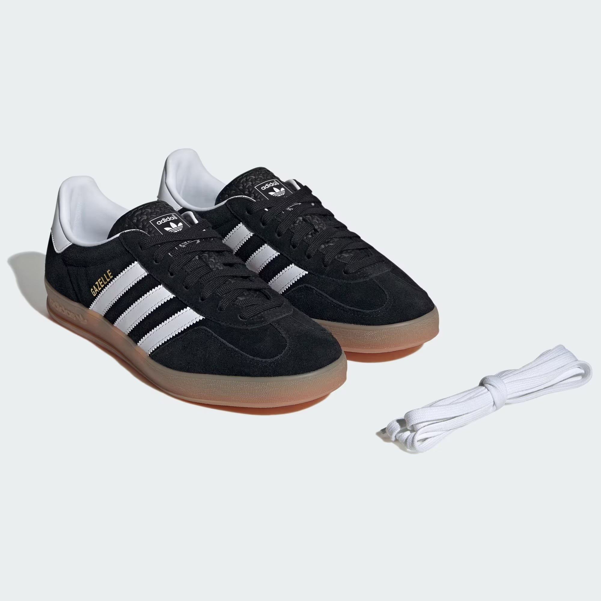 Gazelle Indoor