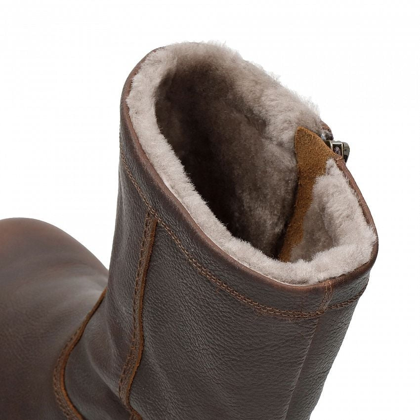 Fedro Igloo C10
