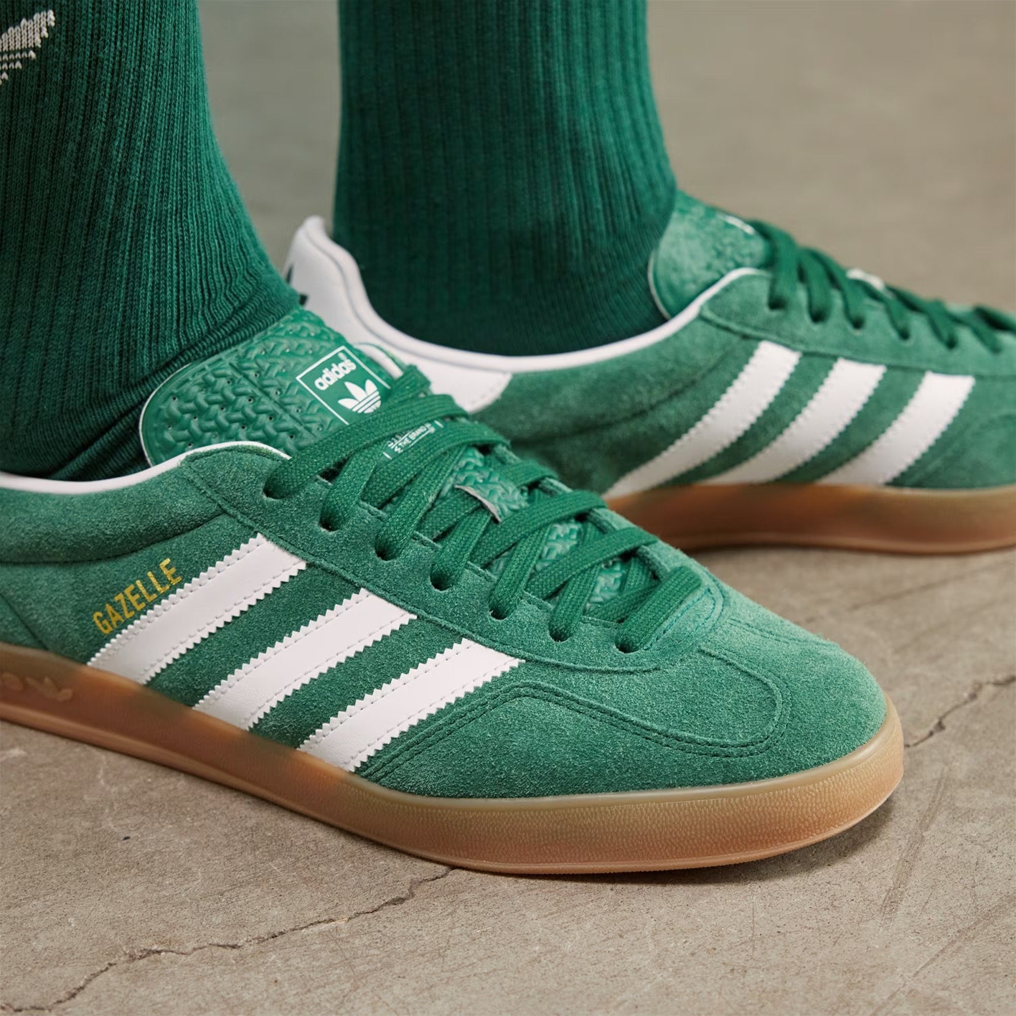 Gazelle Indoor