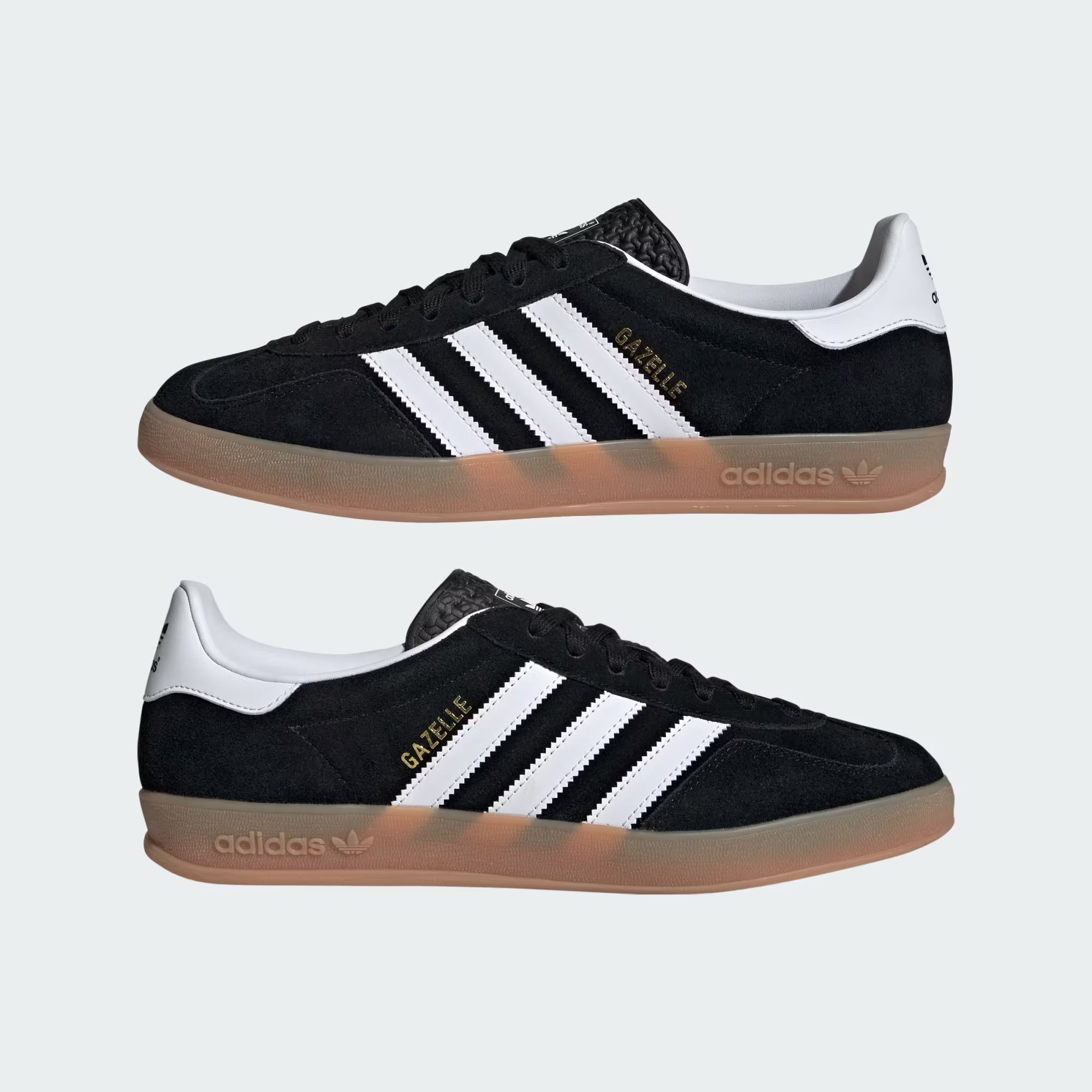 Gazelle Indoor