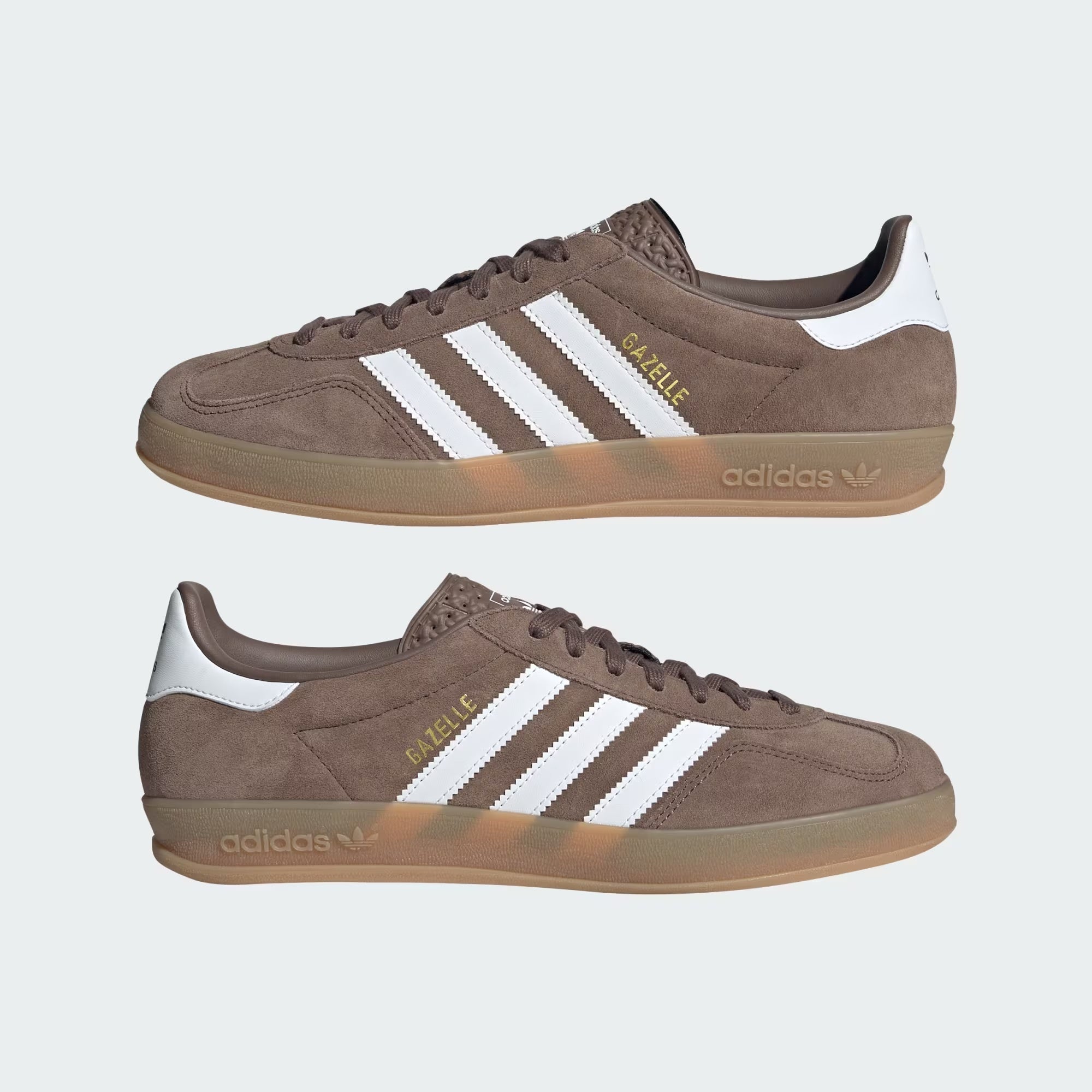 Gazelle Indoor