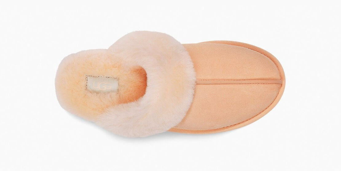 Scuffette II