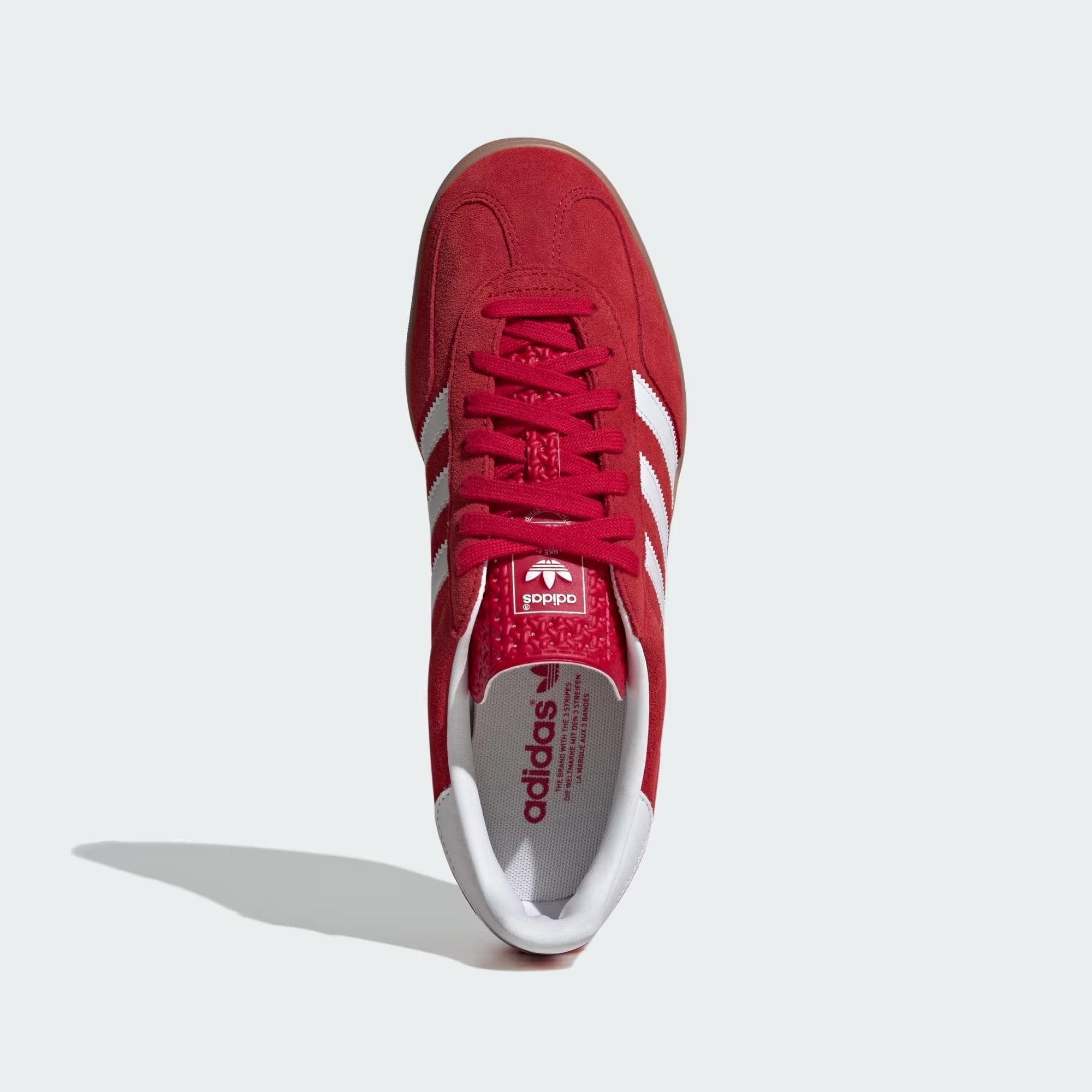 Gazelle Indoor