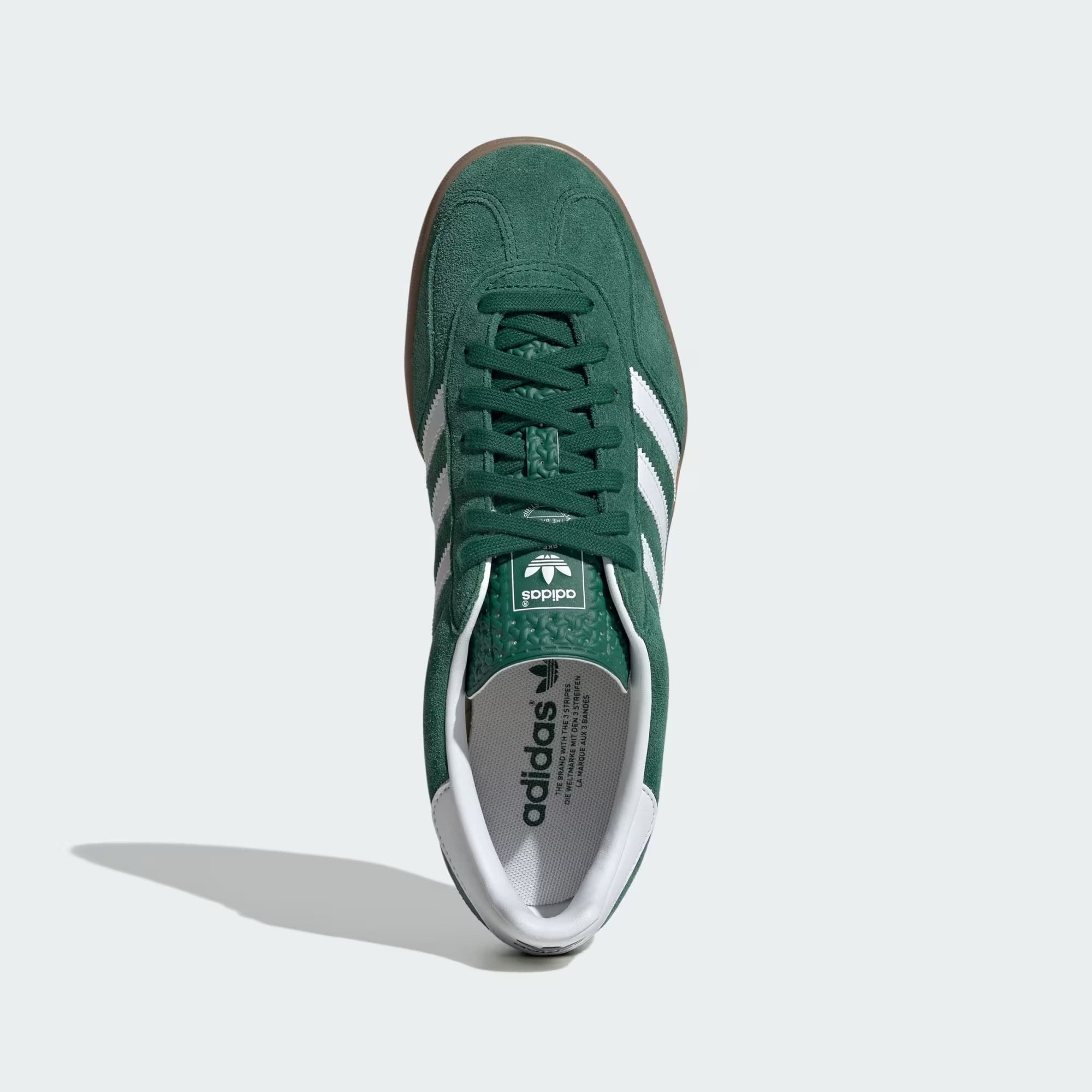 Gazelle Indoor