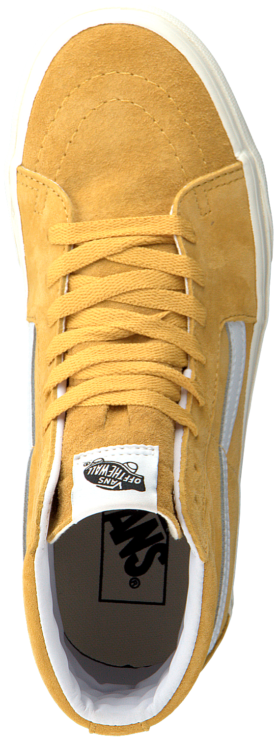 SK8-Hi