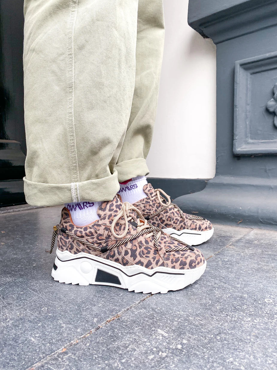 JUPITER leopard