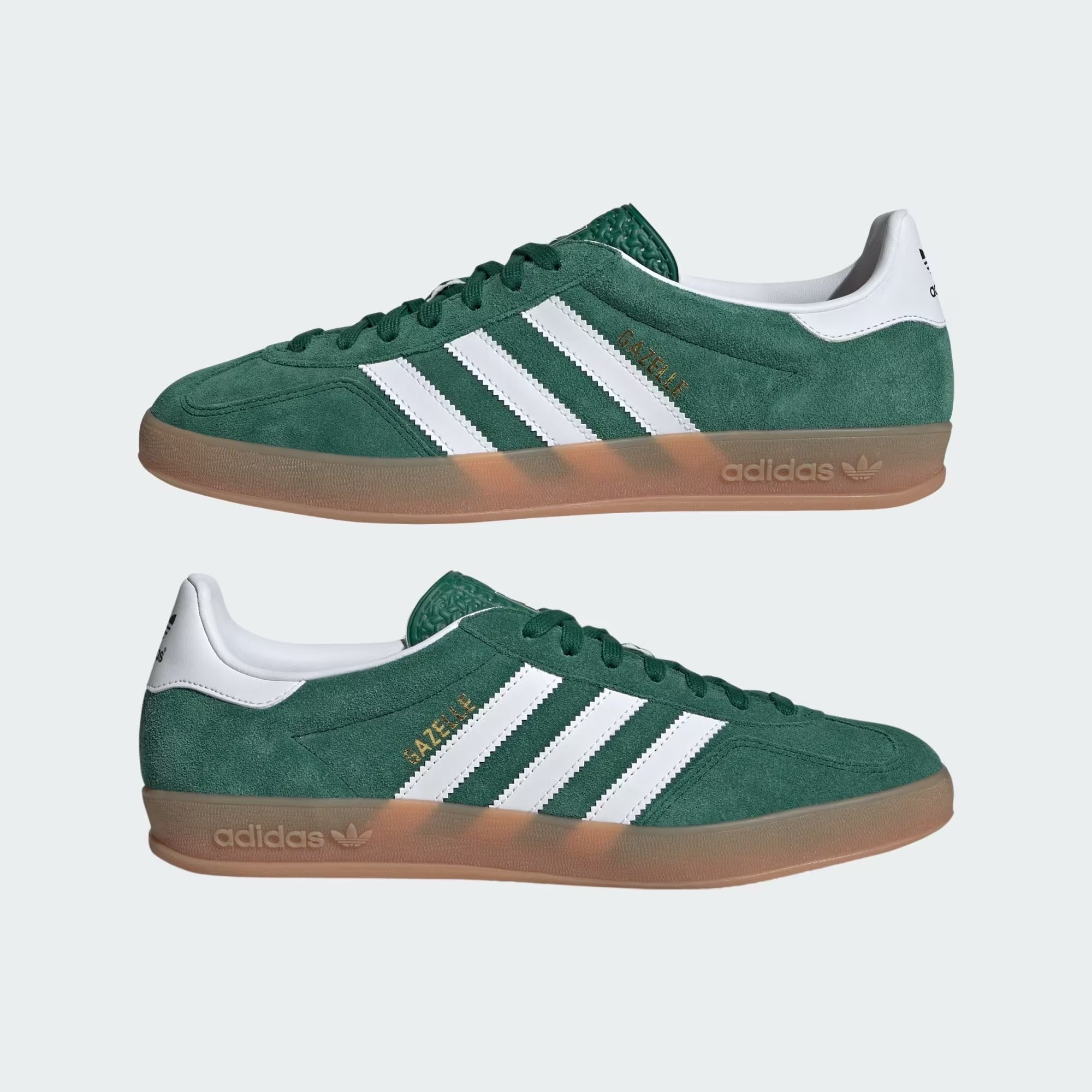 Gazelle Indoor