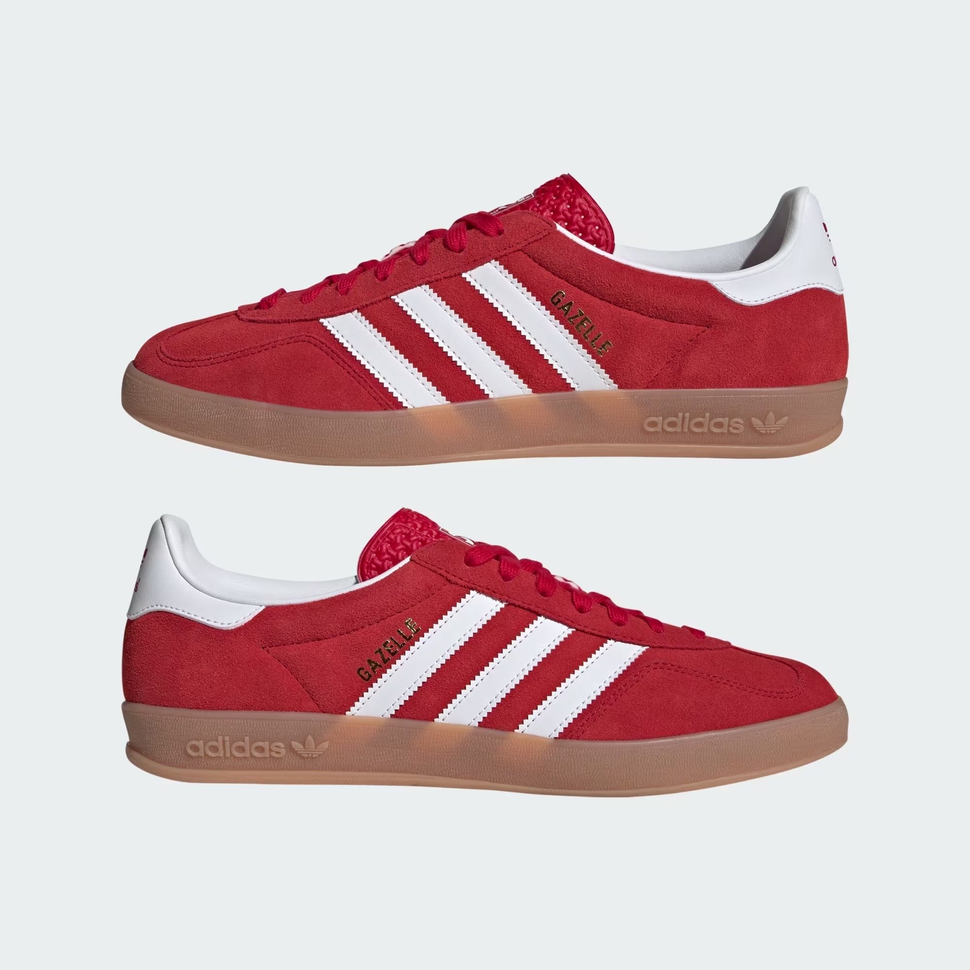 Gazelle Indoor