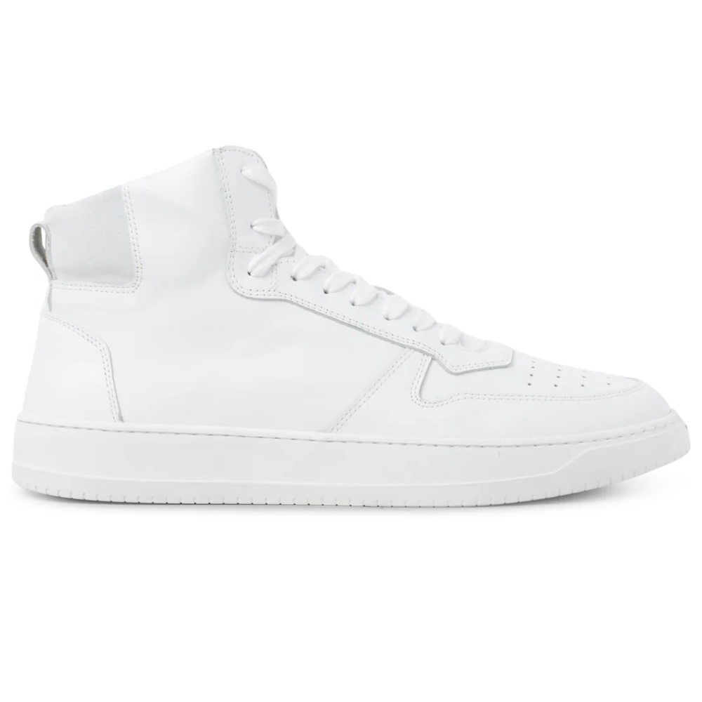Legacy Mid