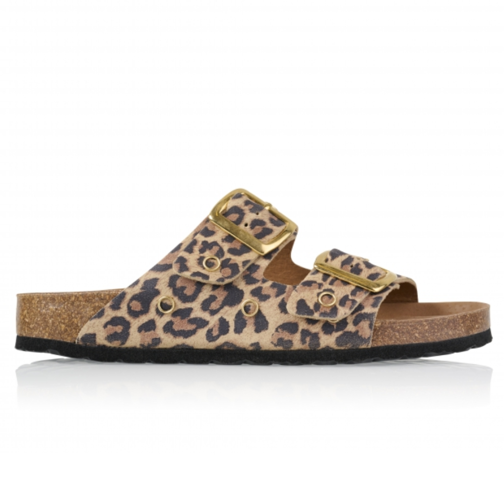 MADRID leopard