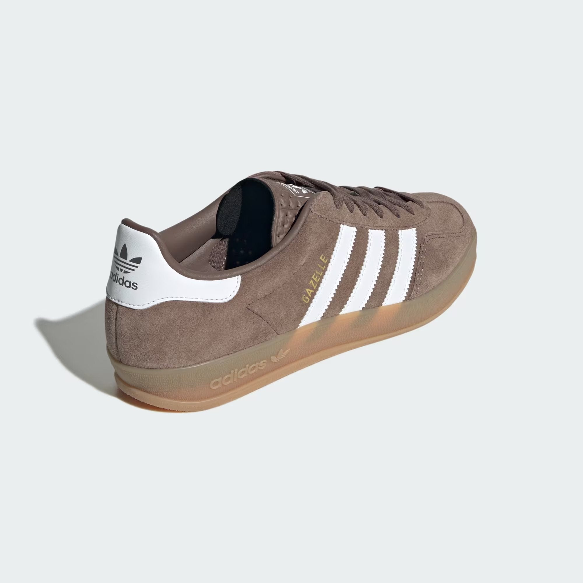 Gazelle Indoor