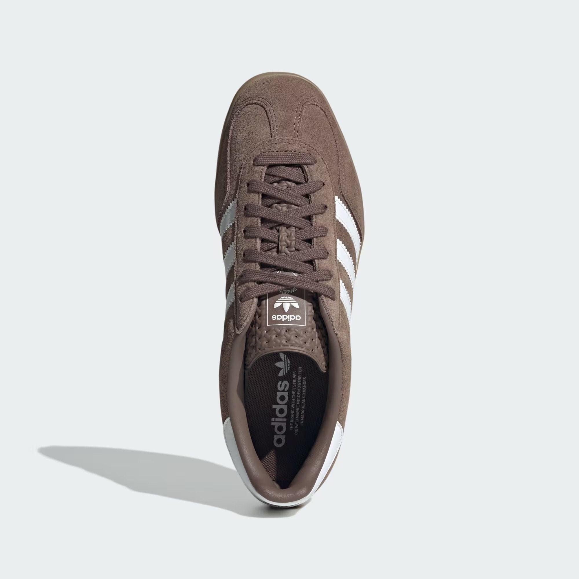 Gazelle Indoor
