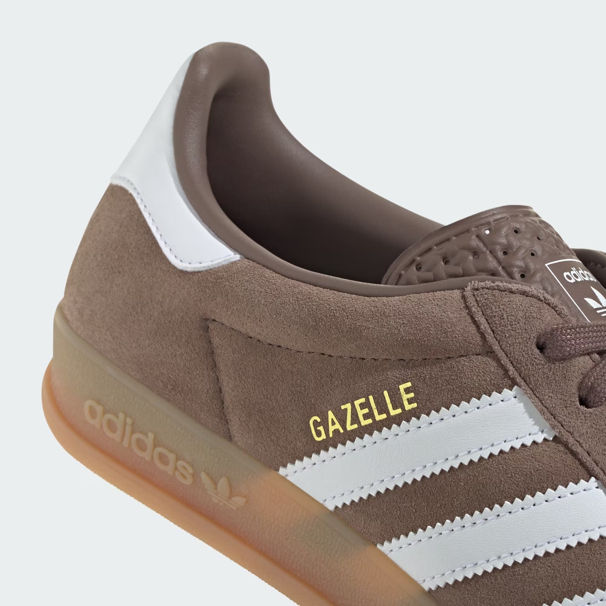 Gazelle Indoor
