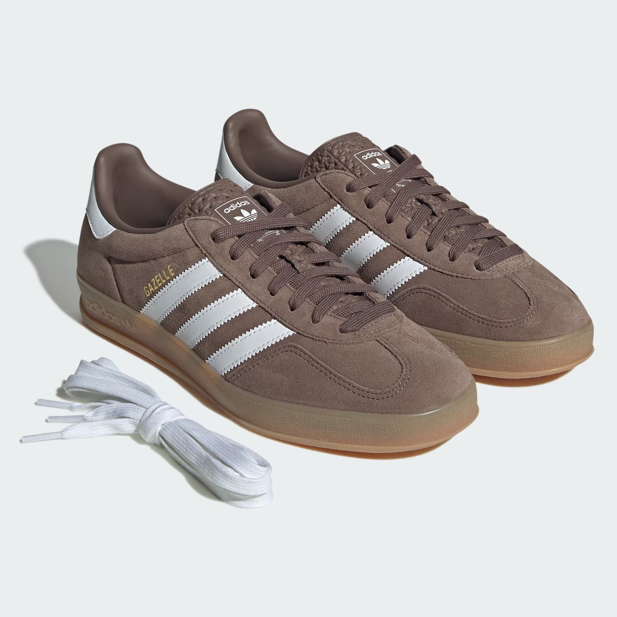 Gazelle Indoor