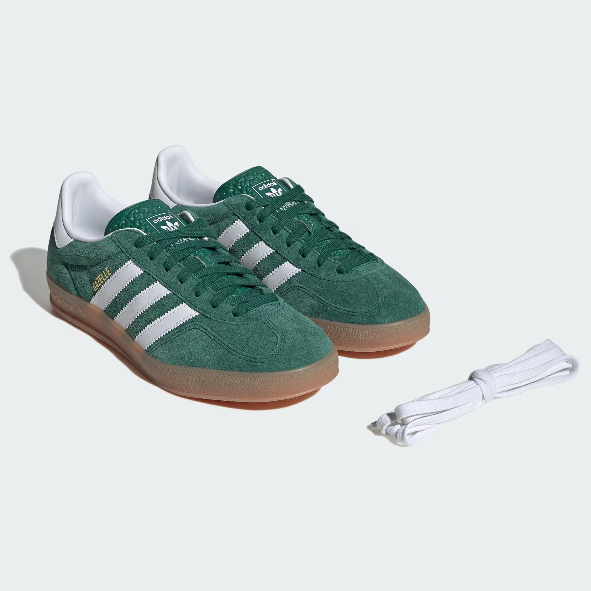 Gazelle Indoor