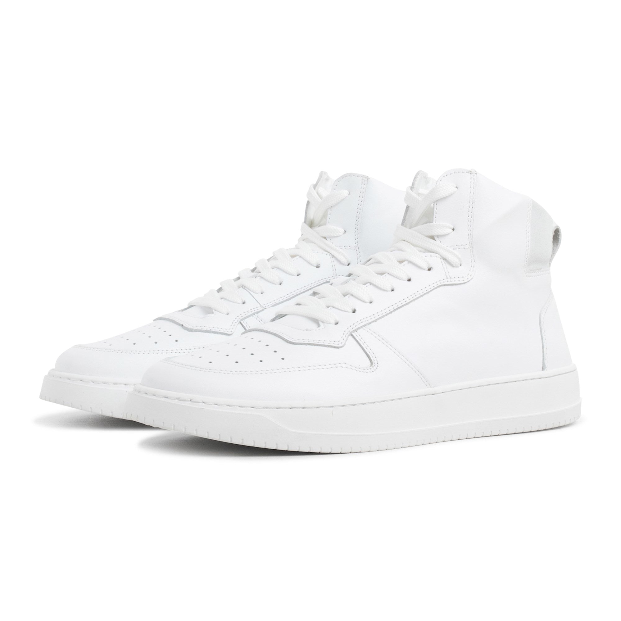 Legacy Mid